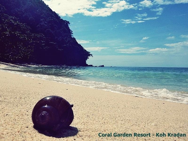 Coral Garden Resort 코크라단 외부 사진