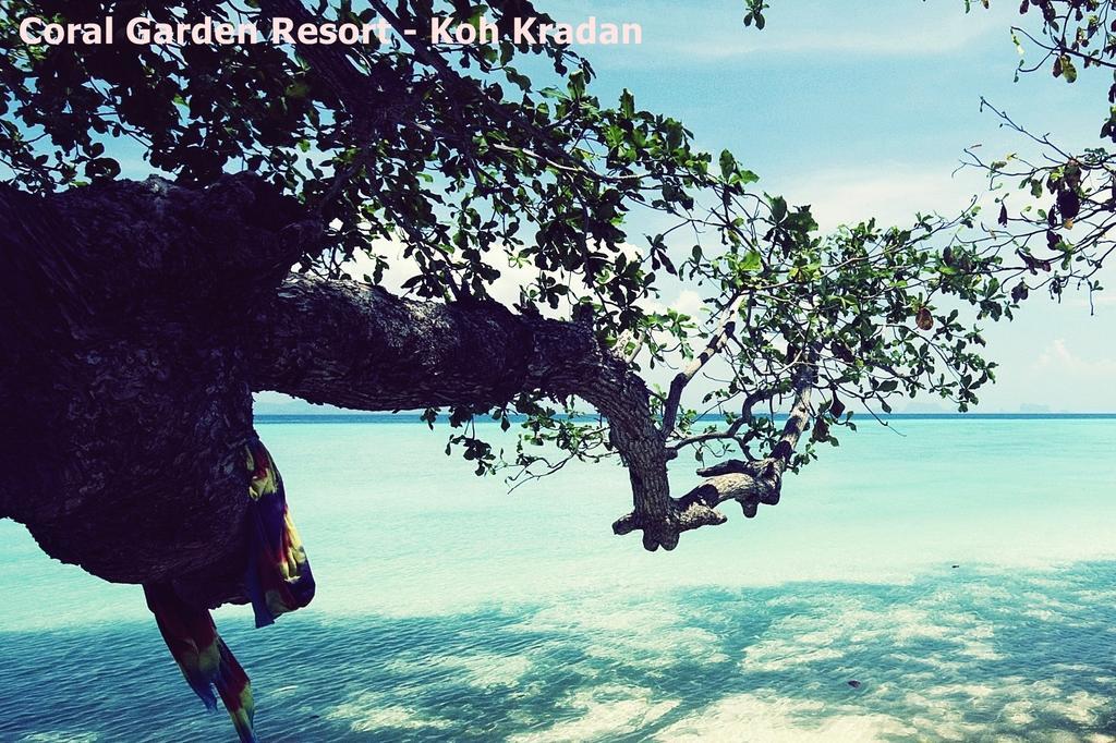 Coral Garden Resort 코크라단 외부 사진